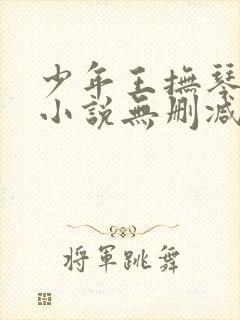 少年王抚琴的人小说无删减正版在线阅读