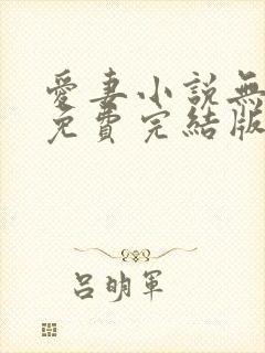 爱妻小说无弹窗免费完结版