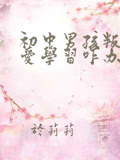 初中男孩叛逆不爱学习咋办