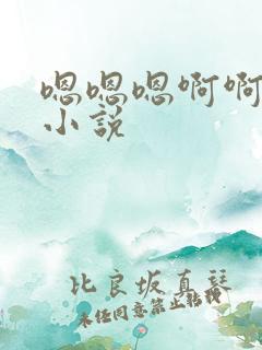 嗯嗯嗯啊啊啊的小说