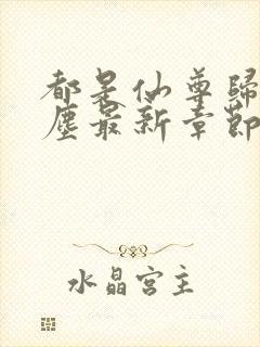 都是仙尊归来洛尘最新章节原版