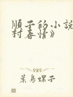 顺子的小说《山村春情》