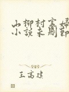山柳村寡妇情史小说未删节版免费阅