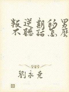 叛逆期的男孩子不听话怎么去沟通