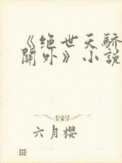《绝世天骄雁门关外》小说