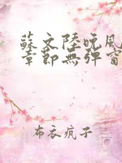 苏文陆晚风最新章节无弹窗笔趣阁