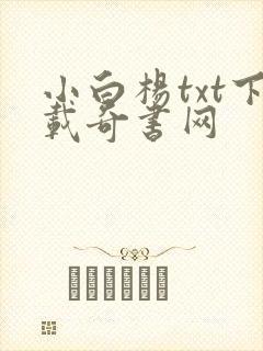 小白杨txt下载奇书网