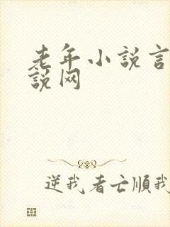 老年小说言情小说网