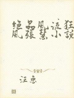 绝品风流狂医林风张慧小说正版
