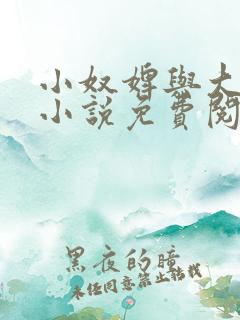 小奴婢与大少爷小说免费阅读