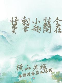 情刺小说全文免费笔趣阁在线阅读