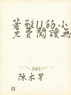 萧雅11的小说免费阅读无弹窗最新章节