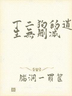 丁二狗的逍遥人生无删减
