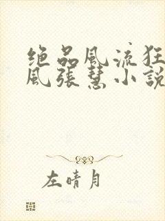 绝品风流狂医林风张慧小说全集免费阅读