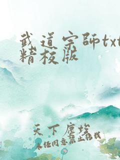 武道宗师txt精校版