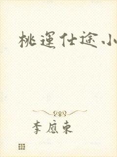 桃运仕途小说