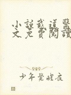 小说武道医王全文免费阅读