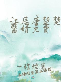 江辰唐楚楚龙王医婿免费