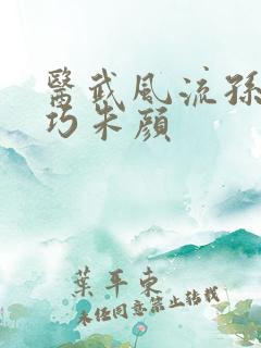 医武风流孙哲叶巧朱颜