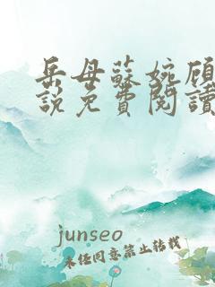 岳母苏婉顾城小说免费阅读全文