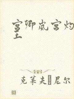 宫卿岚宫灼摄政王