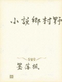 小说乡村野情