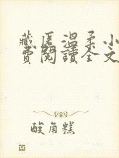 藏匿温柔小说免费阅读全文