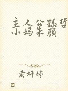 主人公孙哲叶巧小妈朱颜