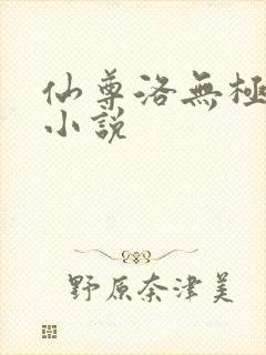 仙尊洛无极洛尘小说
