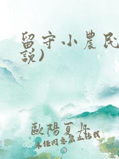 留守小农民(小说)