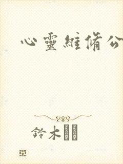 心灵维修公司