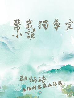 医武独尊完整版小说