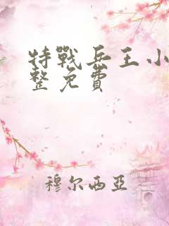 特战兵王小说完整免费