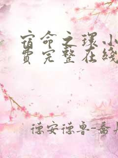 宿命之环小说免费完整在线阅读