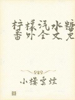 柠檬汽水糖小说番外全文免费阅读