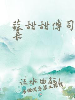 苏甜甜傅司衍机长