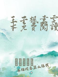 王子枫袁雯洁全本免费阅读