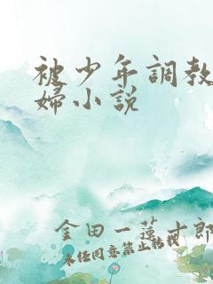 被少年调教的熟妇小说