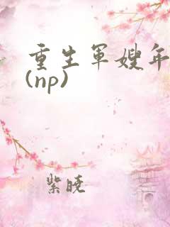 重生军嫂年代文(np)