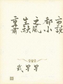 重生之都市狂龙萧秋风小说