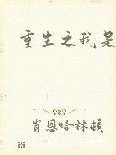 重生之我是杨过