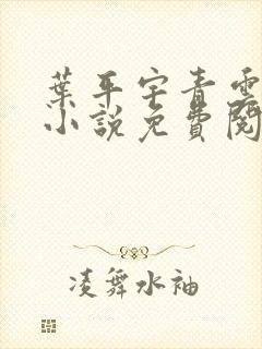 叶平宇青云直上小说免费阅读