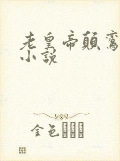 老皇帝颠鸾倒凤小说