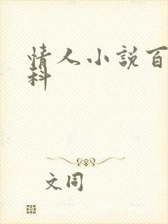 情人小说百度百科
