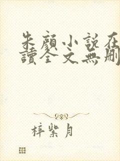 朱颜小说在线阅读全文无删减