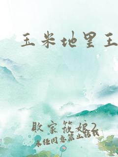 玉米地里王二柱
