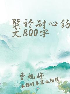 关于耐心的议论文800字