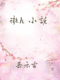 微h 小说
