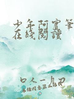 少年阿宾笔趣阁在线阅读