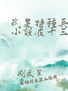 我是特种兵杨洛小说夜十三